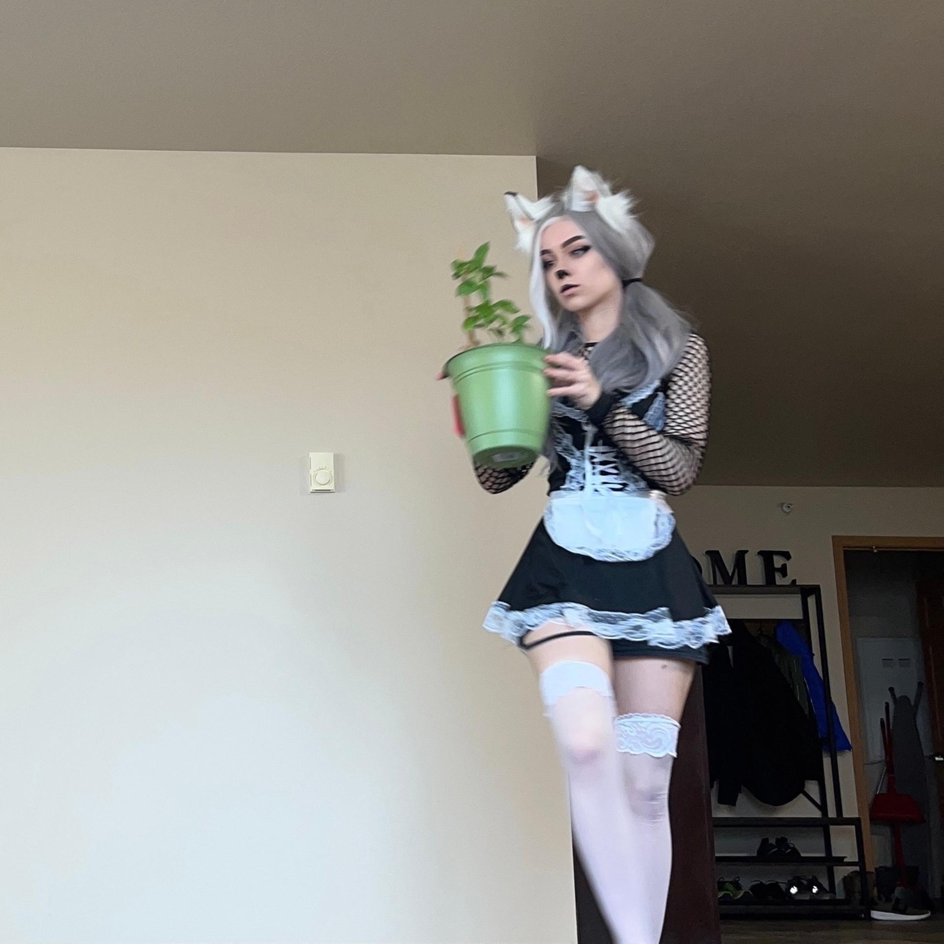 Awkspew_roo2 / lilith zulaykha / omw2fyd Filtraciones Nude de OnlyFans 1