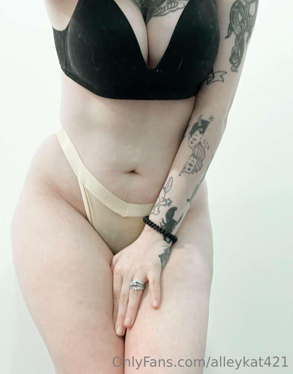 alleykat421 / lleykt421 Filtraciones Nude de OnlyFans 2