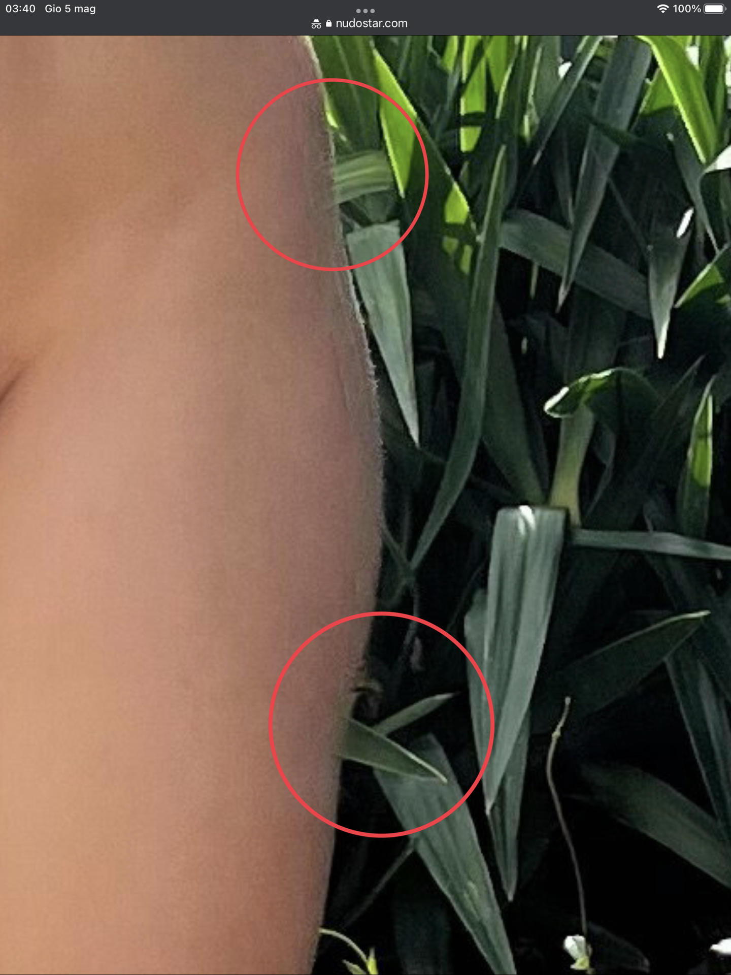 Stefania Ferrario / stefaniaferrario Filtraciones Desnudas de OnlyFans 1