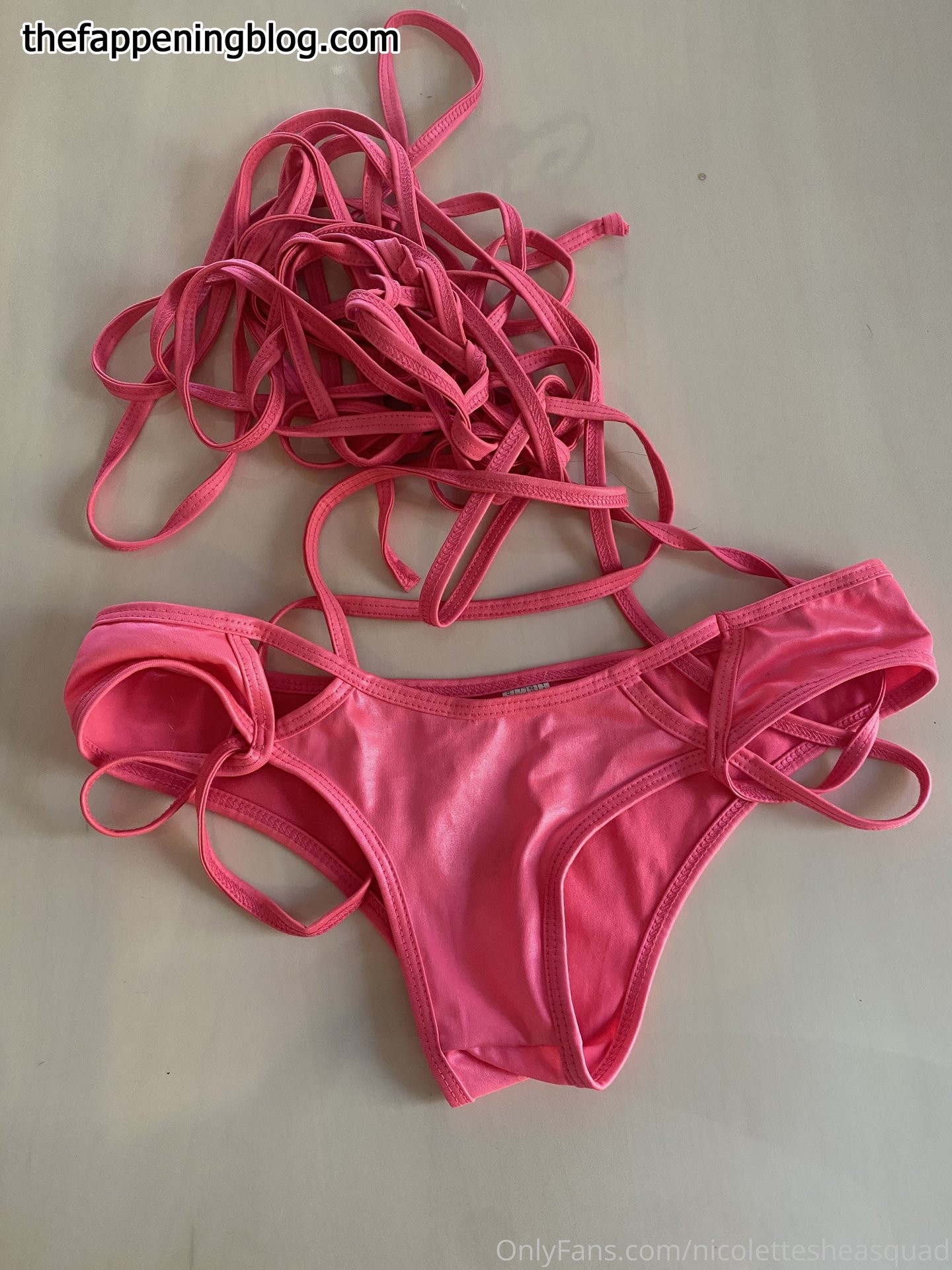 nicolettesheaxxx Leaked Photo 41