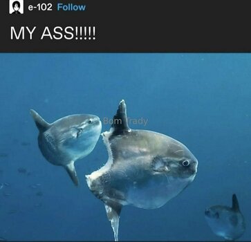 executionergf / executioner.gf Filtraciones Desnudas OnlyFans Foto 20