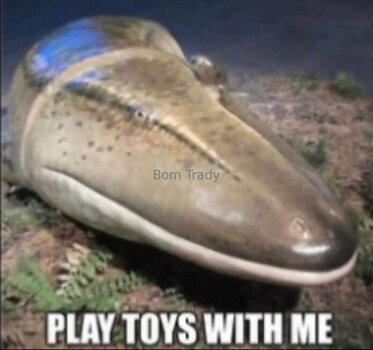 executionergf / executioner.gf Filtraciones Desnudas OnlyFans Foto 22