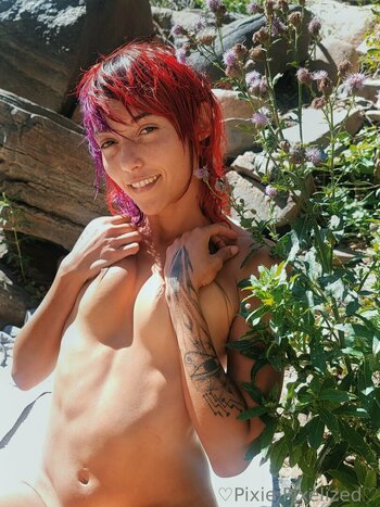 PixiePixelized Filtraciones Desnudas Foto 24